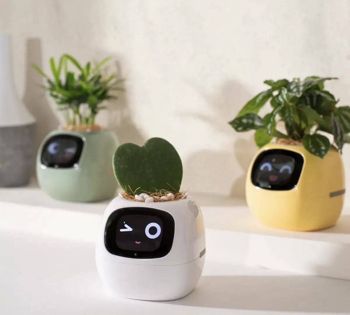 Cute Smart Plant Pot – Your Intelligent Green Companion